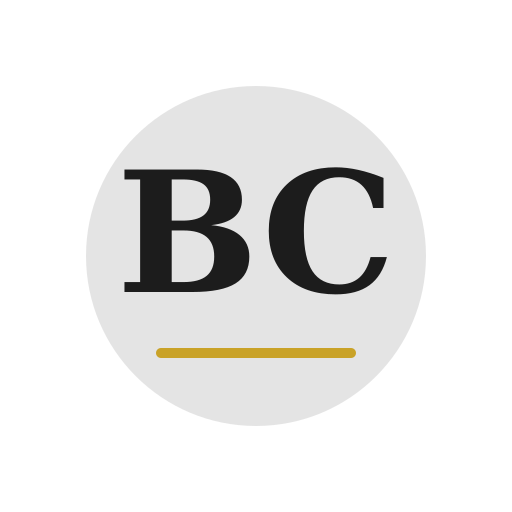 Brro Chimney Services logo